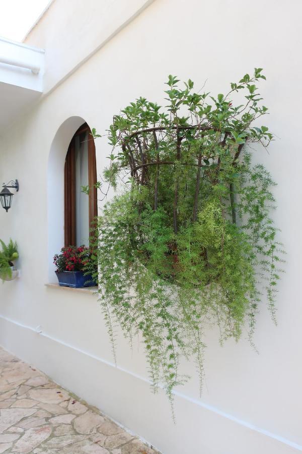 Il Trullo Del Cadetto Villa Francavilla Fontana Dış mekan fotoğraf
