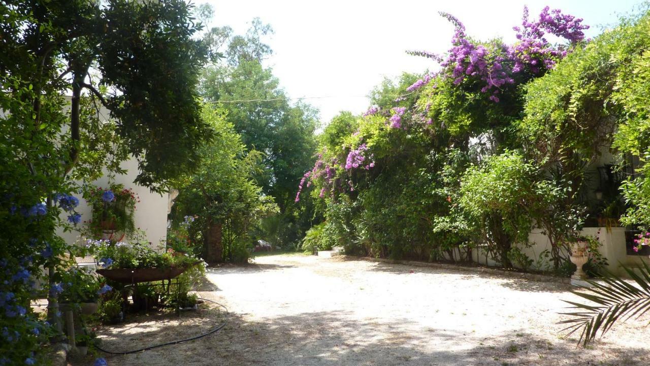Il Trullo Del Cadetto Villa Francavilla Fontana Dış mekan fotoğraf