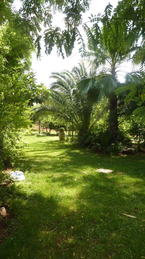 Il Trullo Del Cadetto Villa Francavilla Fontana Dış mekan fotoğraf